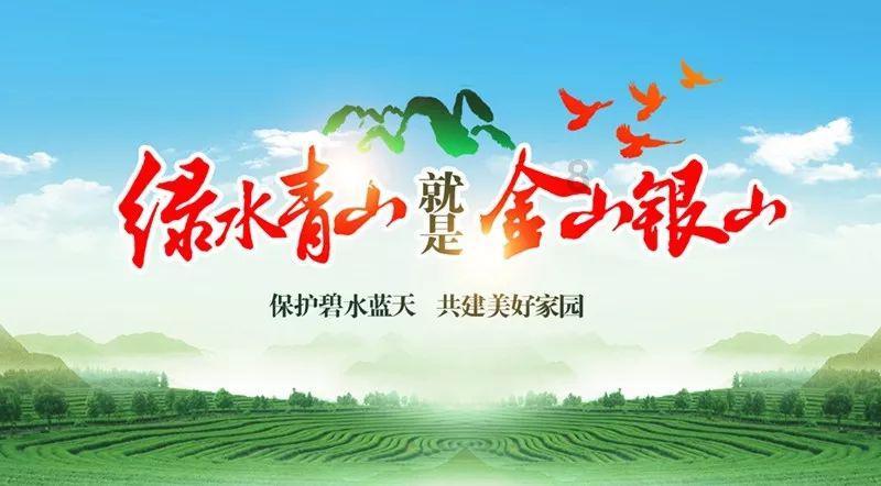 危险森林大逃脱